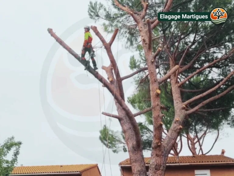 Artisan élagueur travaillant en hauteur à Martigues pour une coupe précise et sécurisée.