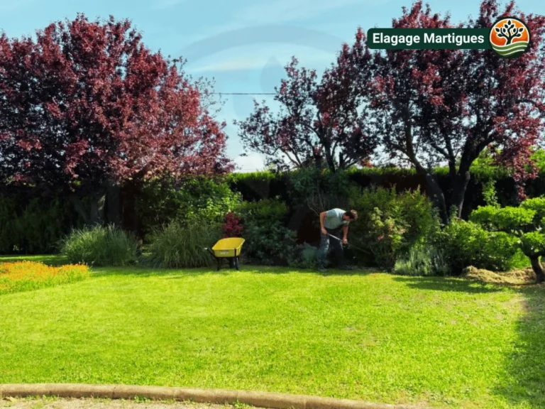 Paysagiste entretenant un jardin à Martigues avec soin et expertise - Paysagiste Martigues (13)