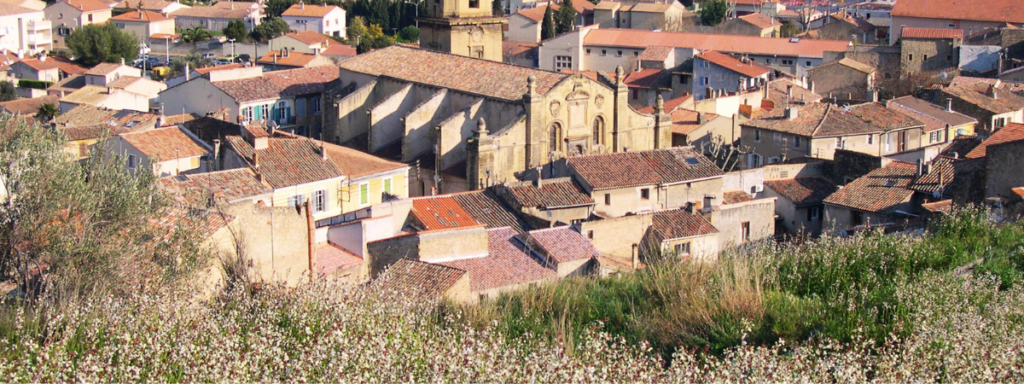 Ville de Saint-Chamas - Elagage Martigues